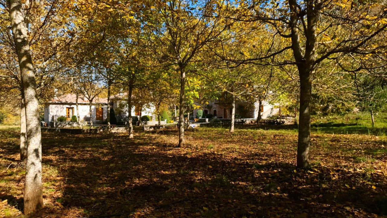Andrea Sofi Guesthouse Dimitsana Exterior foto