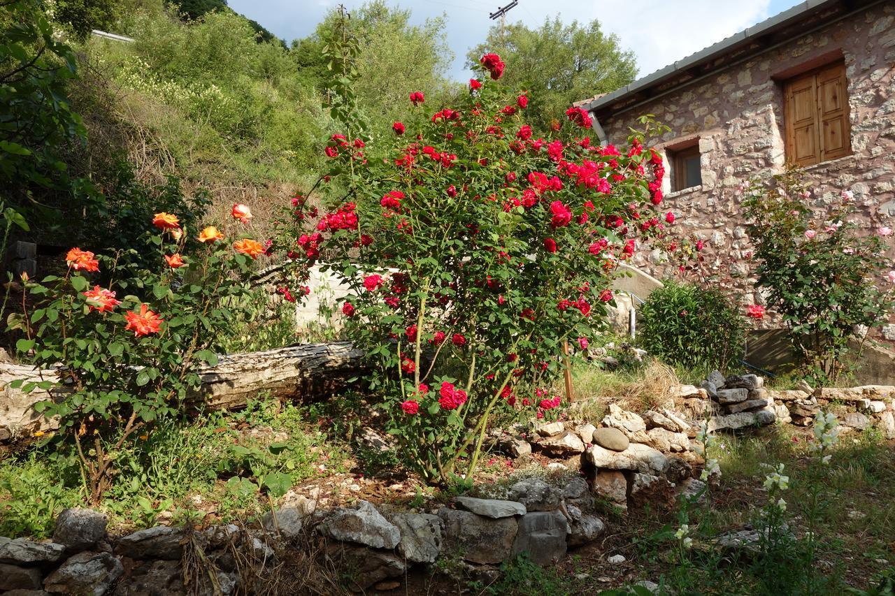 Andrea Sofi Guesthouse Dimitsana Exterior foto